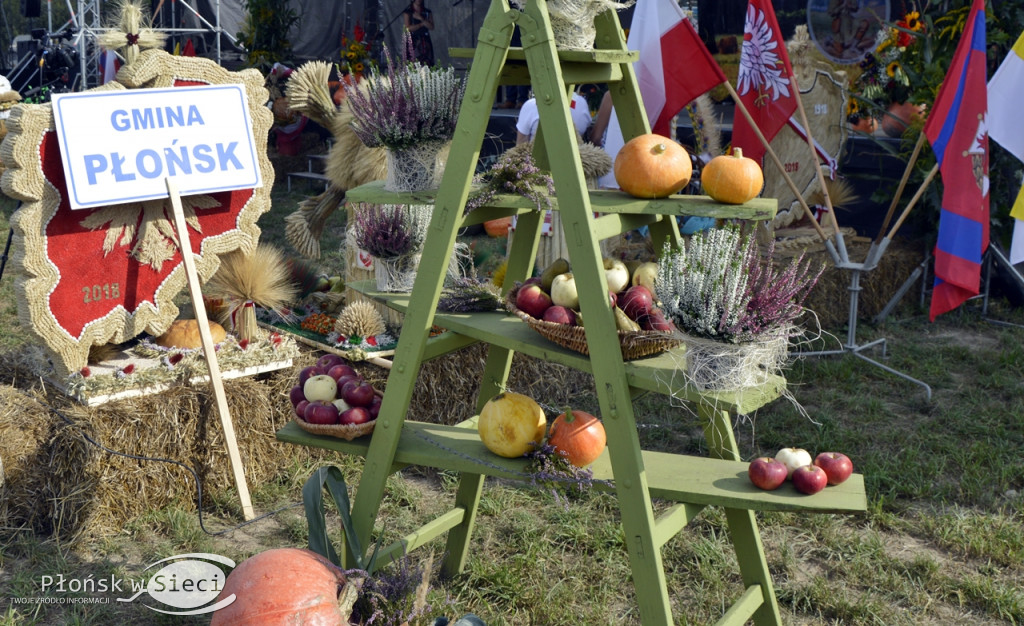 Płońskie dożynki - na scenie Lady Pank!