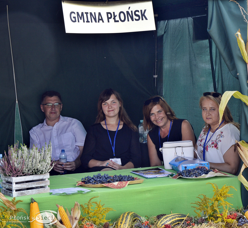 Płońskie dożynki - na scenie Lady Pank!