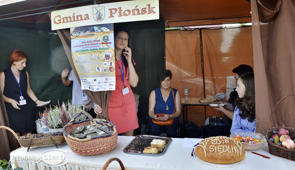 Płońskie dożynki - na scenie Lady Pank!