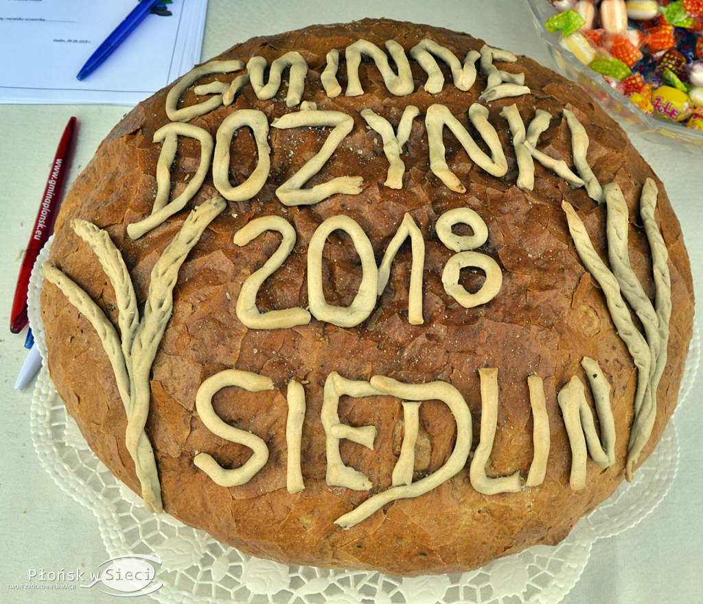 Płońskie dożynki - na scenie Lady Pank!