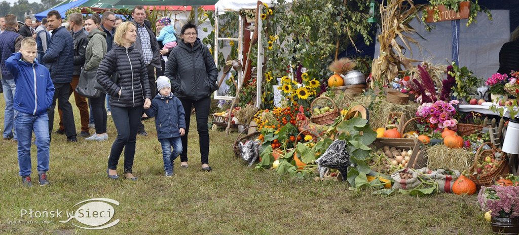 Święto chleba w gminie Baboszewo