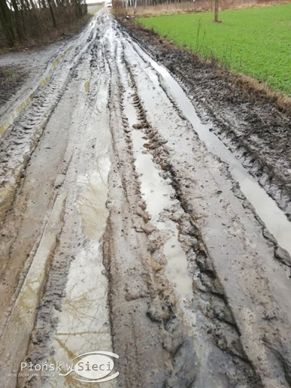Gminne drogi w Nieborzynie pod Czerwińskiem!