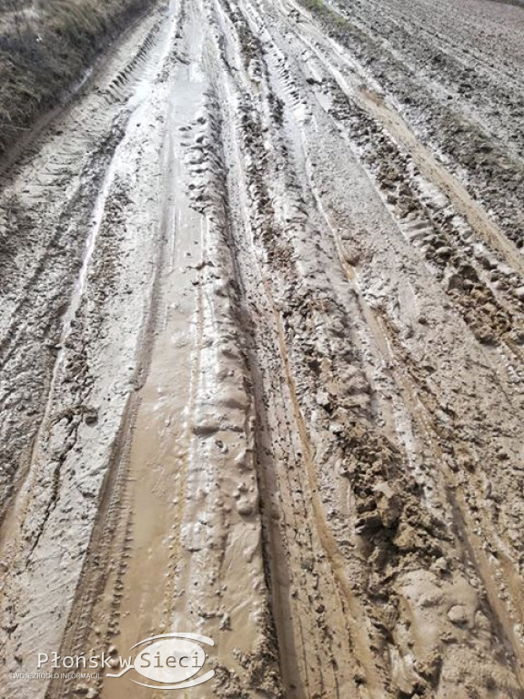 Gminne drogi w Nieborzynie pod Czerwińskiem!
