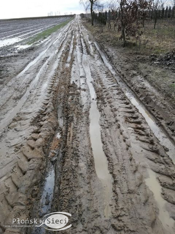 Gminne drogi w Nieborzynie pod Czerwińskiem!