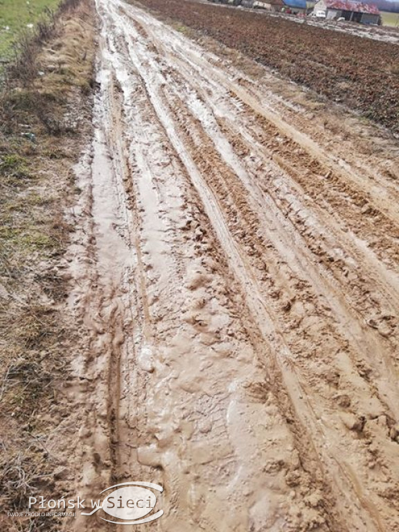 Gminne drogi w Nieborzynie pod Czerwińskiem!