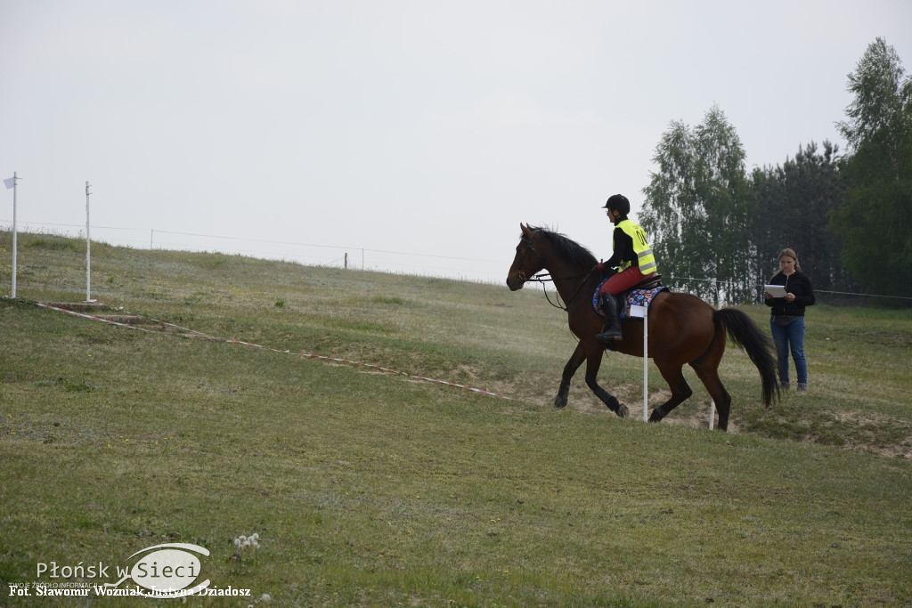 Zawody TREC PTTK w gminie Naruszewo