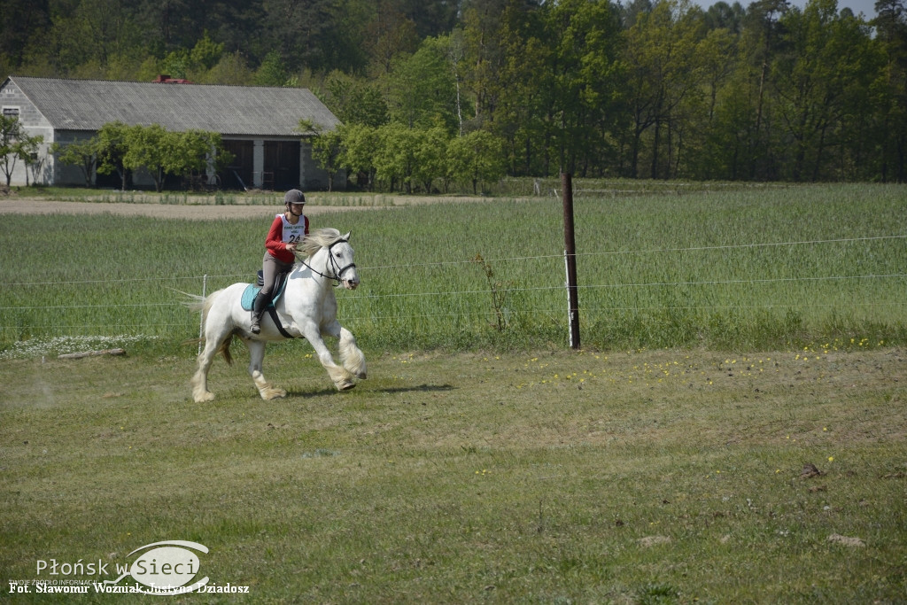 Zawody TREC PTTK w gminie Naruszewo