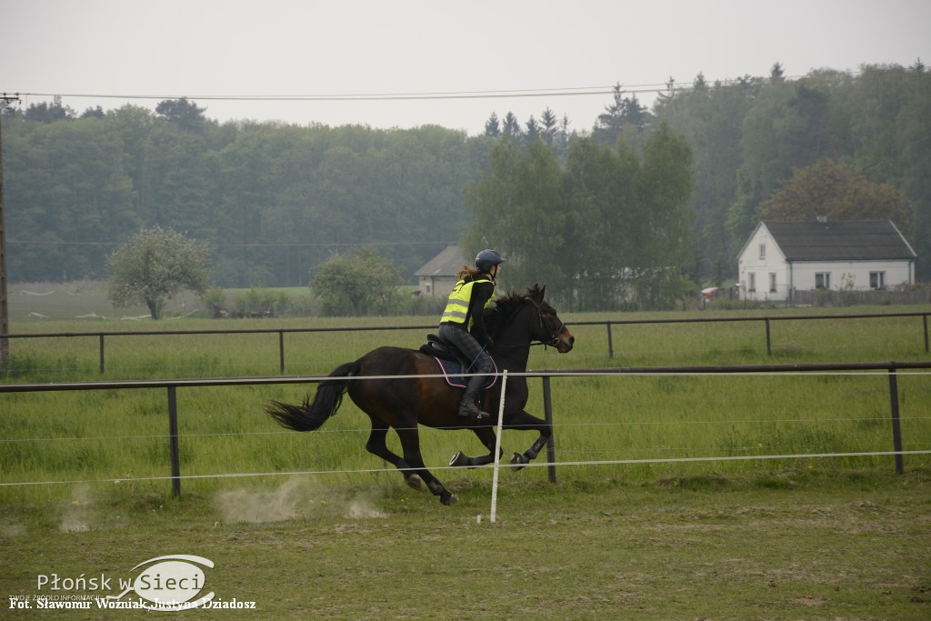 Zawody TREC PTTK w gminie Naruszewo
