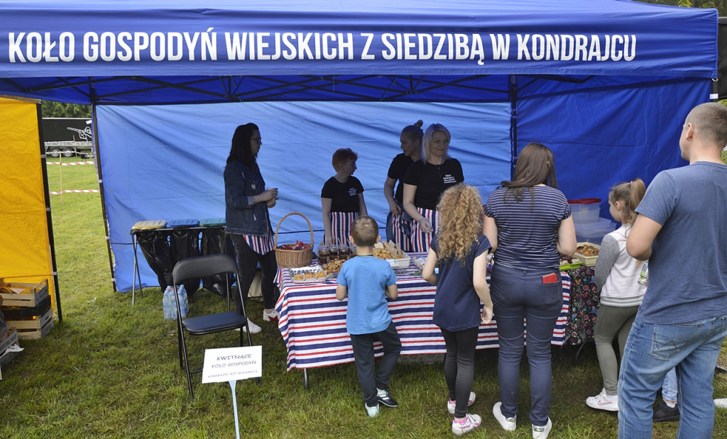 Ogrody zakwitły z Nadleśnictwem Płońsk
