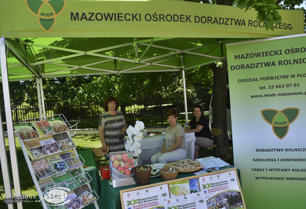 Parafialny Festyn Rodzin już po raz 15-ty