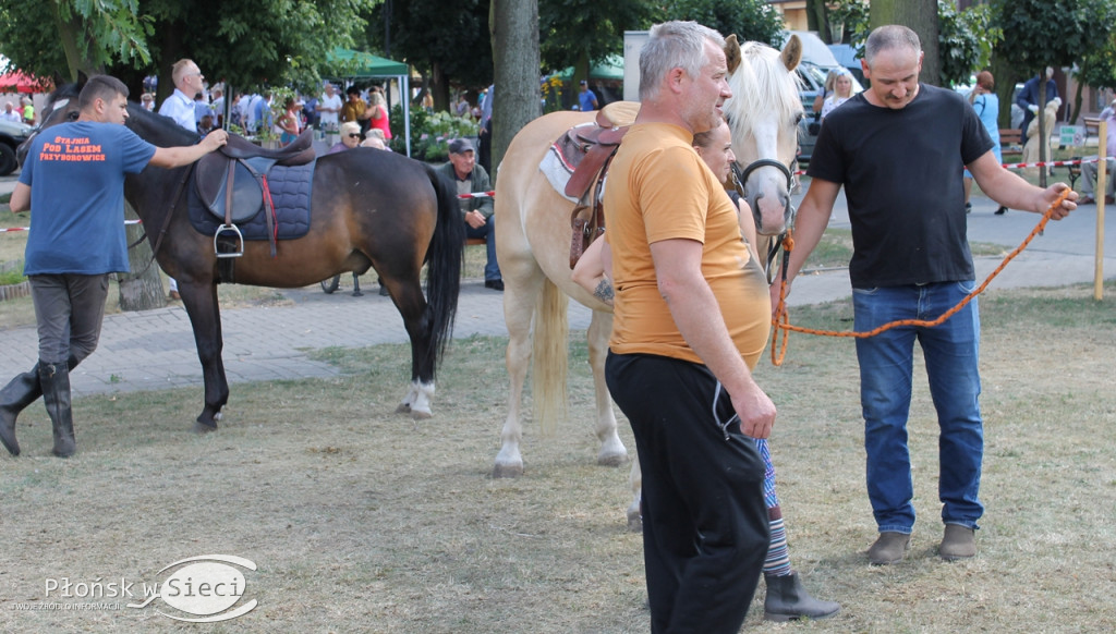 Za nami VI Jarmark Raciąski - działo się!