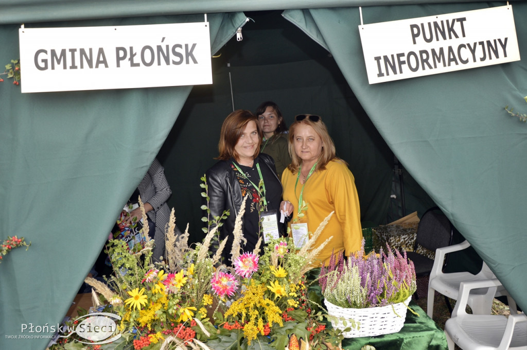 Święto Plonów 2019 z Gminą Płońsk