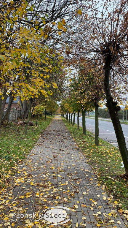 Płoński cmentarz i okolica 1 listopada...