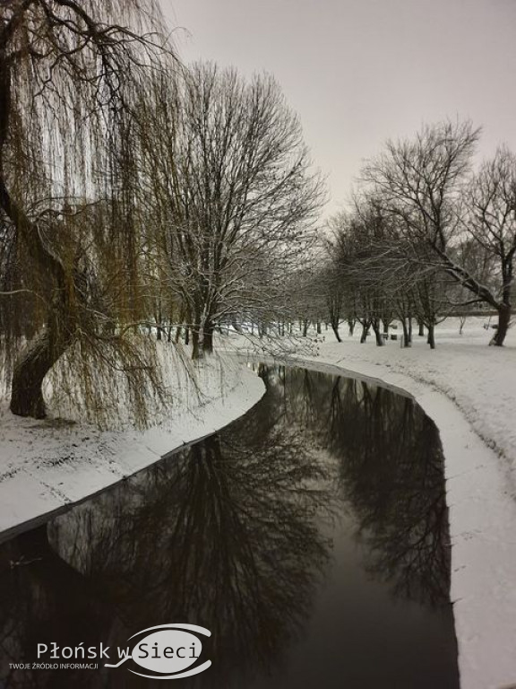 Przedświąteczny, zimowy Płońsk