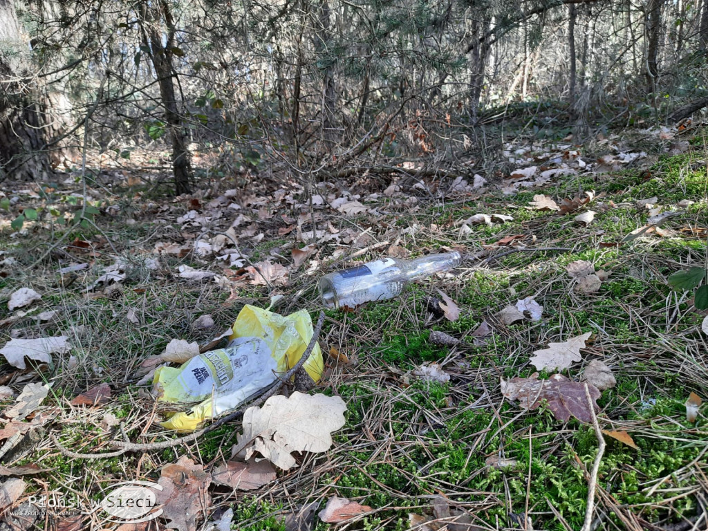 Sobotnie sprzątanie sochocińskiego lasu