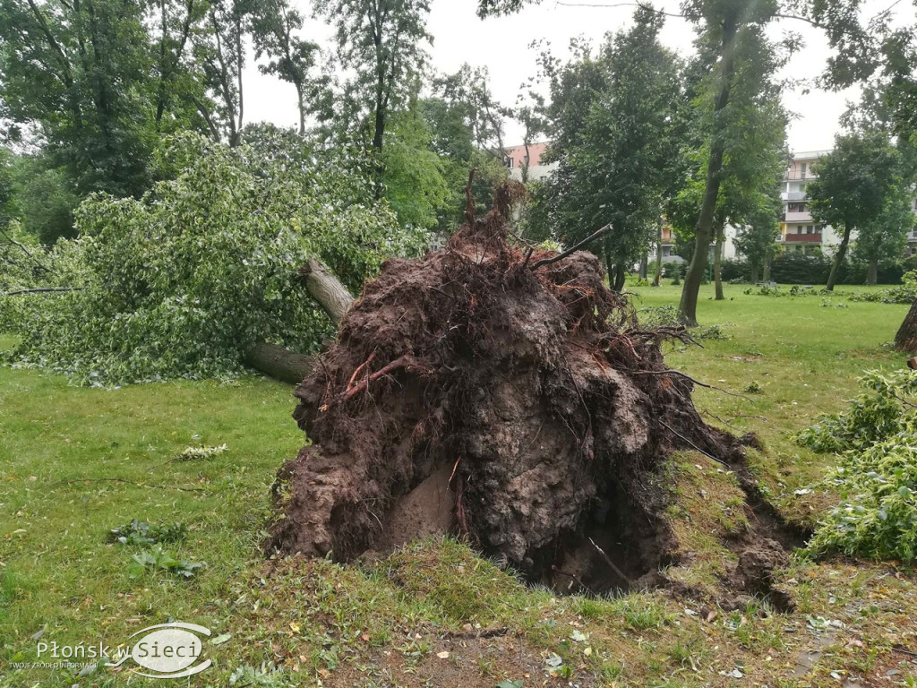 Raciąż - żywioł wyrywał drzewa!