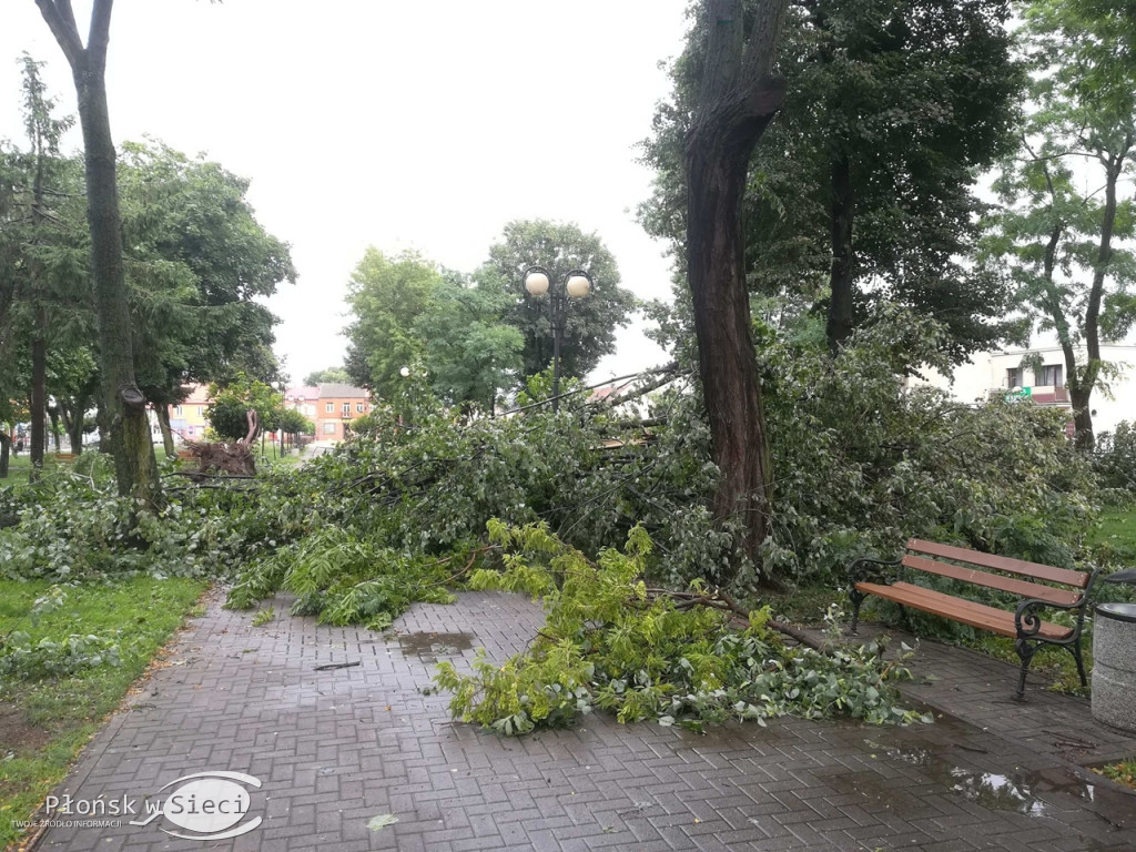 Raciąż - żywioł wyrywał drzewa!