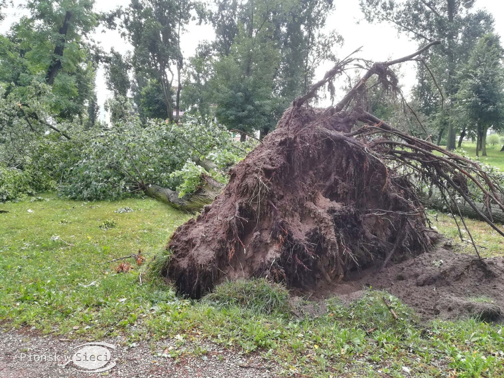 Raciąż - żywioł wyrywał drzewa!