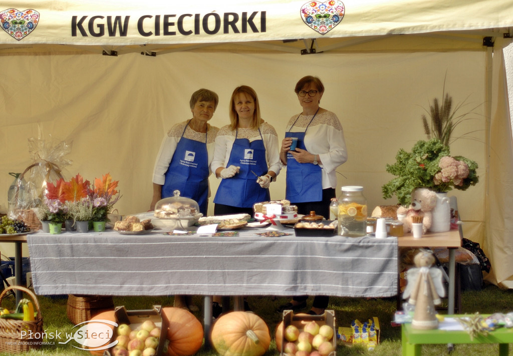 Jesienny jarmark na Poświętnem