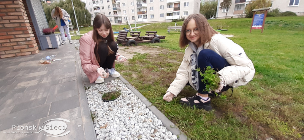 Generalne porządki w altanie przy Północnej