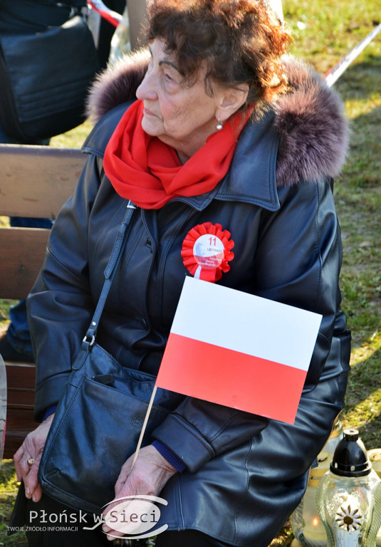 Płońsk w 103. rocznicę odzyskania niepodległości