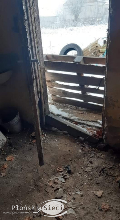Szczątki psów w workach na śmieci!