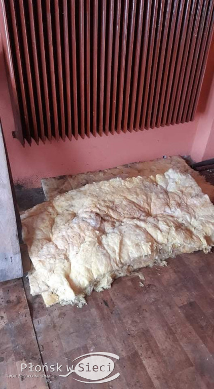 Szczątki psów w workach na śmieci!