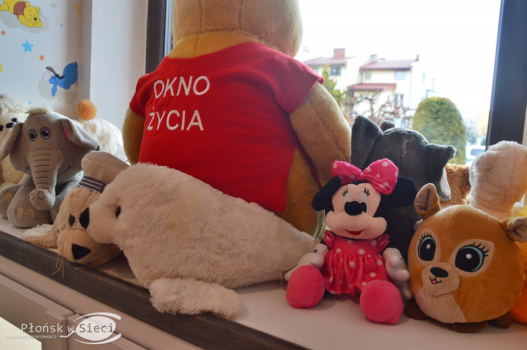 Płońsk ma swoje okno życia