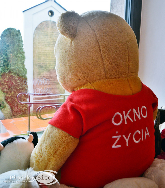 Płońsk ma swoje okno życia