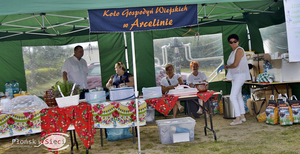 Kawaleryjska szarża na polach Arcelina