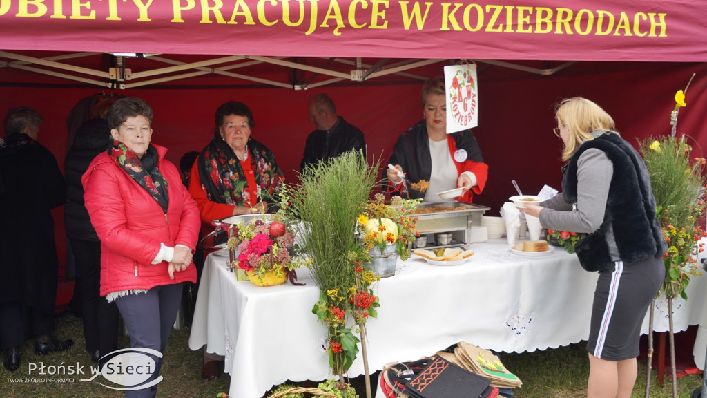 Stare Gralewo: 30 lat gminy Raciąż
