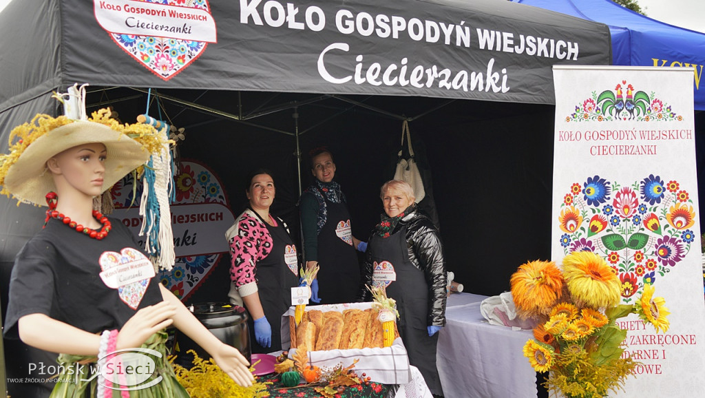 Stare Gralewo: 30 lat gminy Raciąż