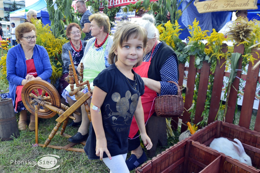 Dożynkowa niedziela w Baboszewie