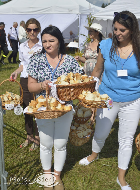 Dożynkowa niedziela w Baboszewie