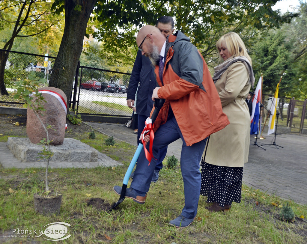 45 lat płońskiej ''czwórki'' - dąb i tablica