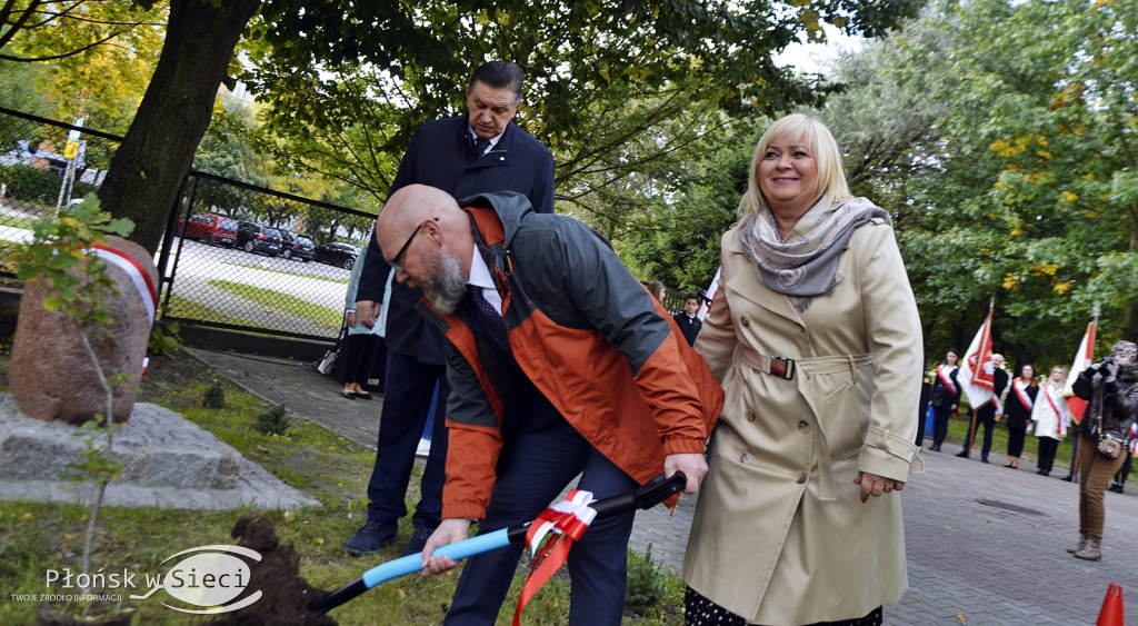 45 lat płońskiej ''czwórki'' - dąb i tablica