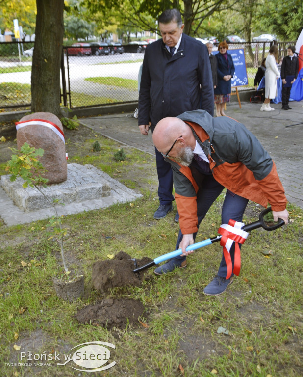 45 lat płońskiej ''czwórki'' - dąb i tablica
