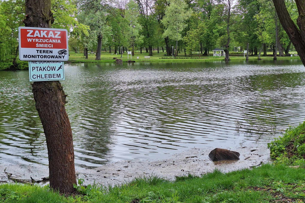 Ciało mężczyzny w stawie w Kroczewie