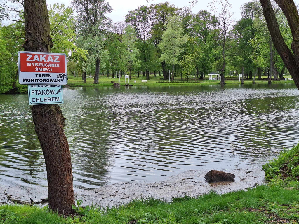 Ciało mężczyzny w stawie w Kroczewie