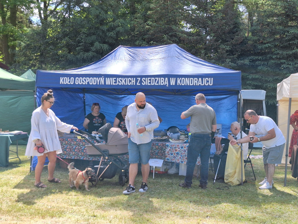 Rodzinny piknik z Nadleśnictwem Płońsk