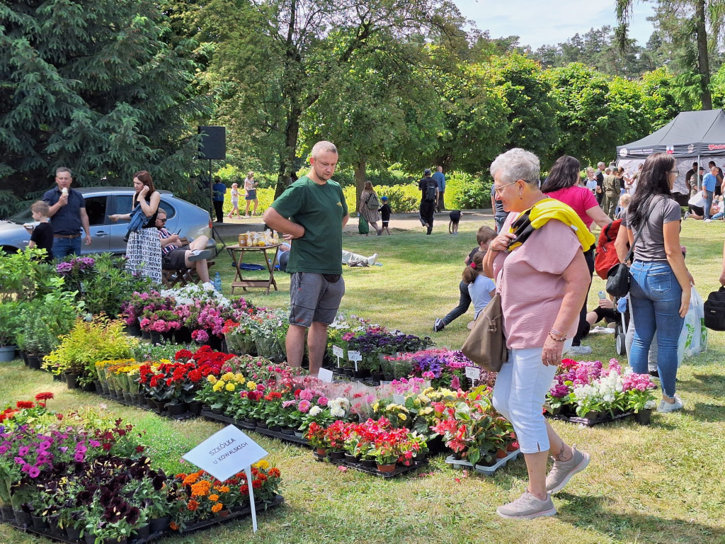 Rodzinny piknik z Nadleśnictwem Płońsk