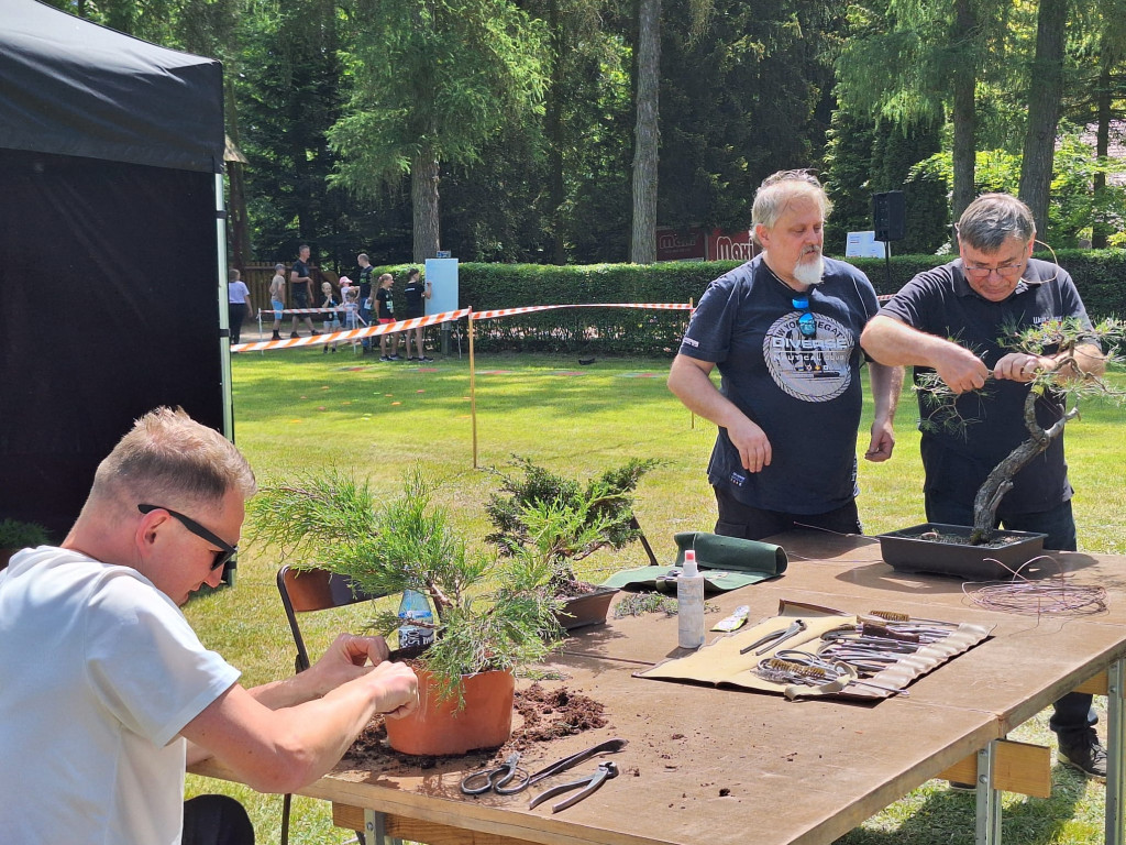 Rodzinny piknik z Nadleśnictwem Płońsk