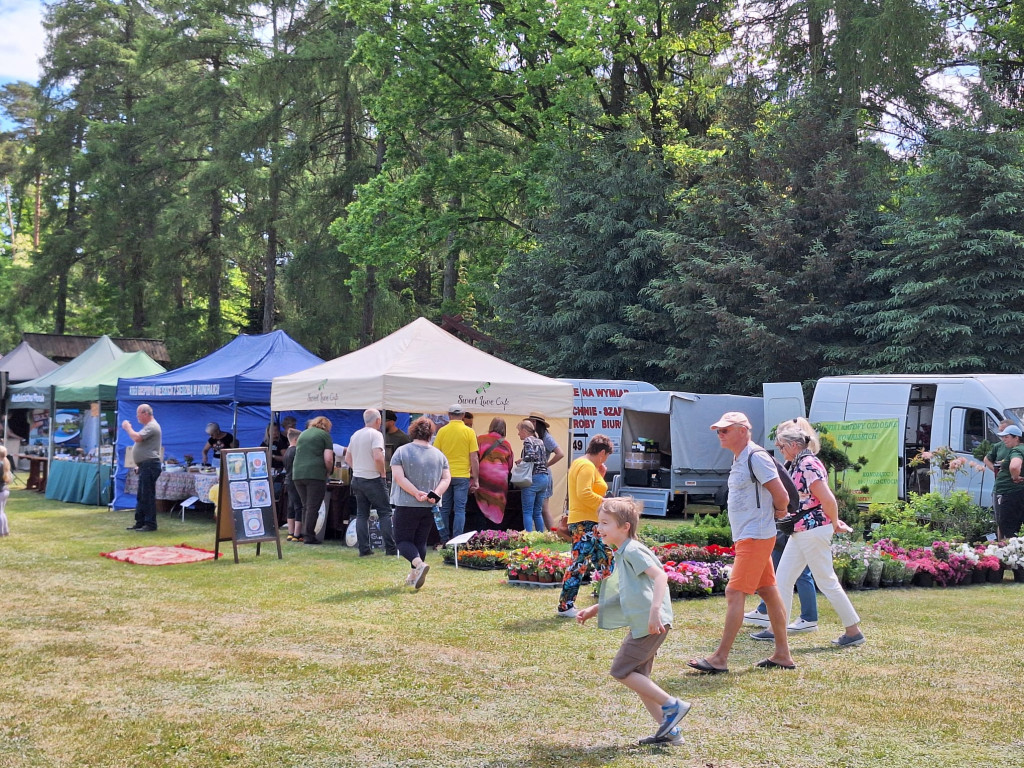 Rodzinny piknik z Nadleśnictwem Płońsk