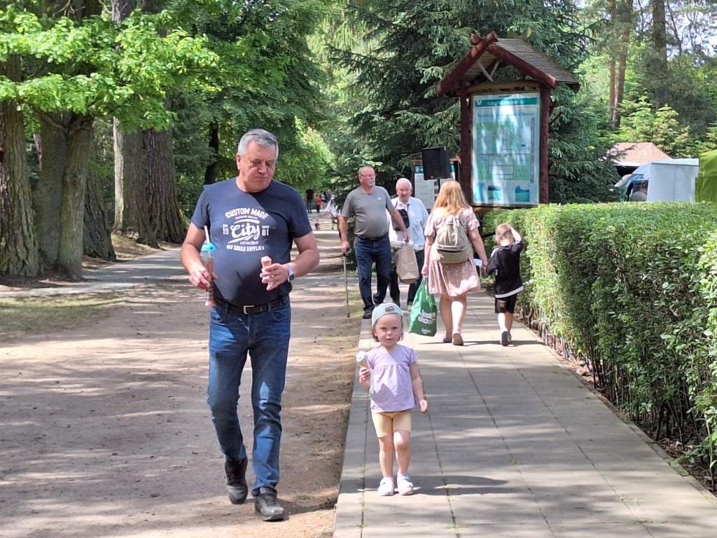 Rodzinny piknik z Nadleśnictwem Płońsk