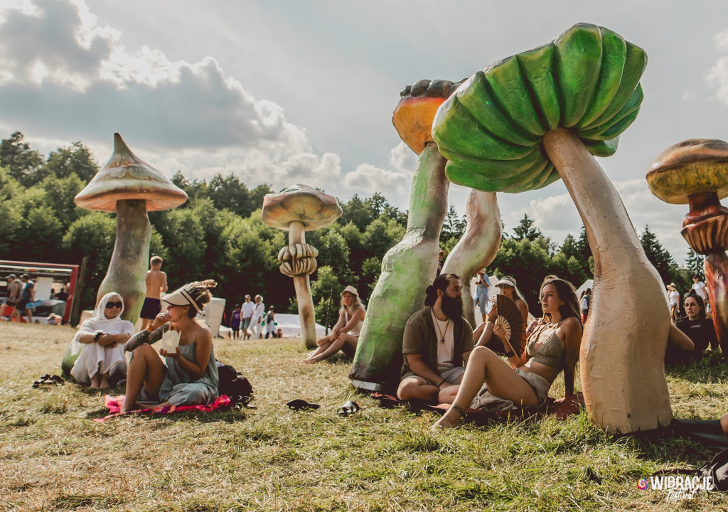 Festiwal Wibracje już w lipcu!