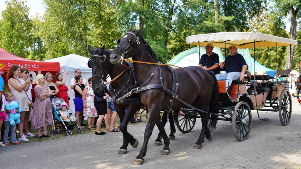 Sierpniowy jarmark raciąski