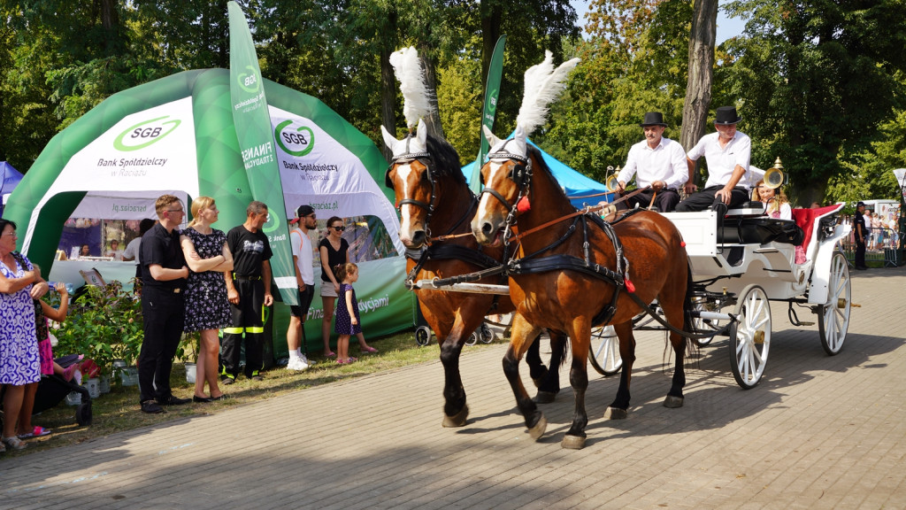 Sierpniowy jarmark raciąski