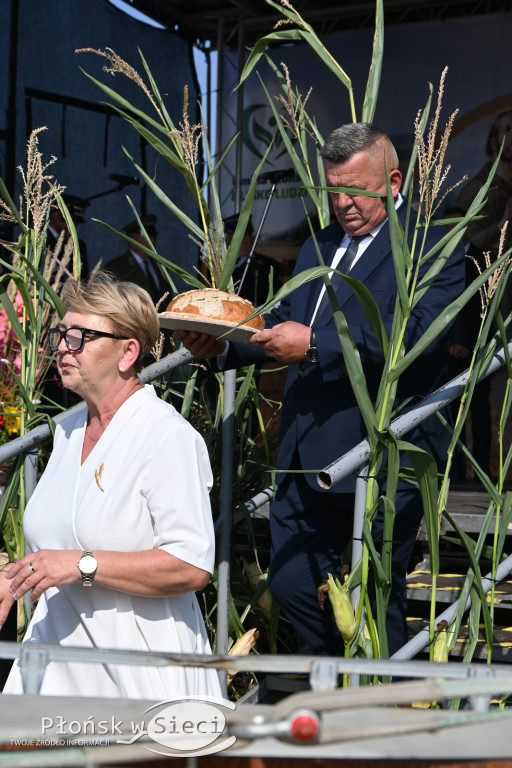 Na gminnych dożynkach w Jeżewie