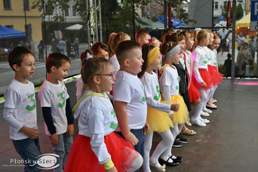 Święto patrona Płońska - występy Dzień I