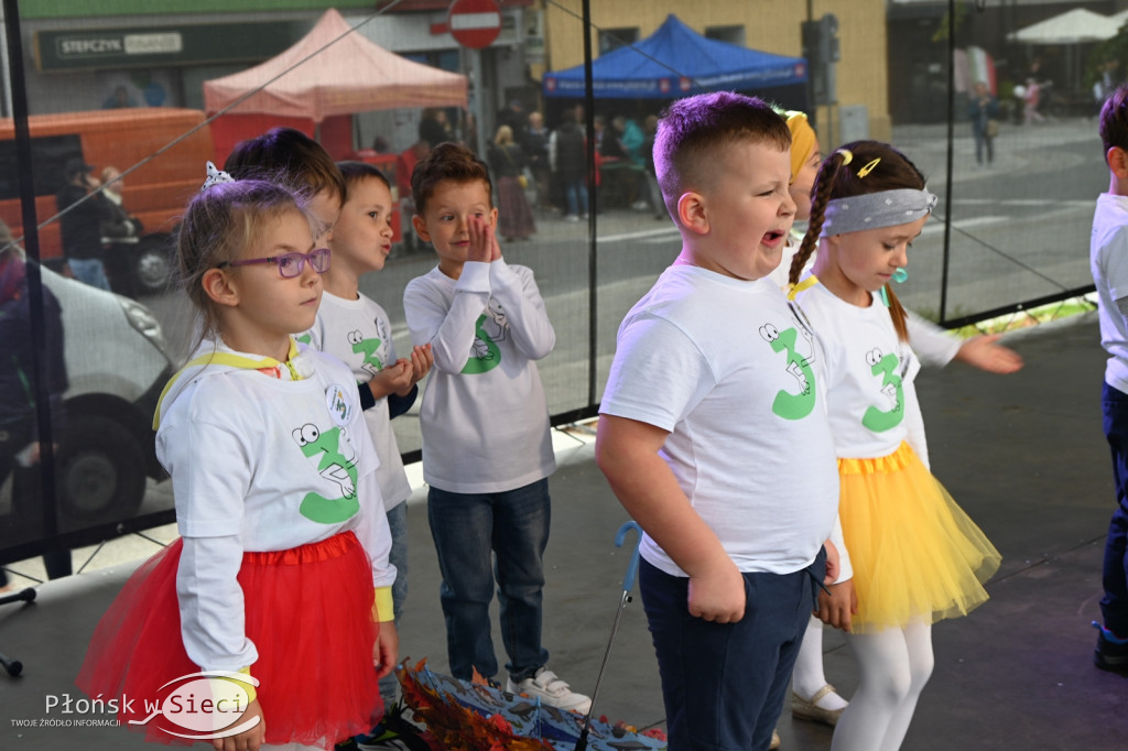 Święto patrona Płońska - występy Dzień I